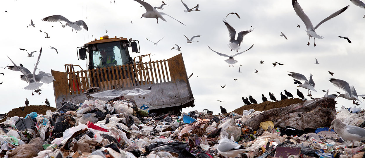 landfill-1248x540