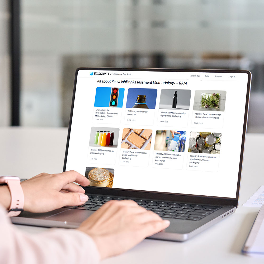 RAM knowledge resources