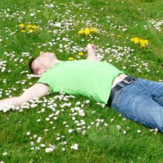 A person laying in a field of flowers