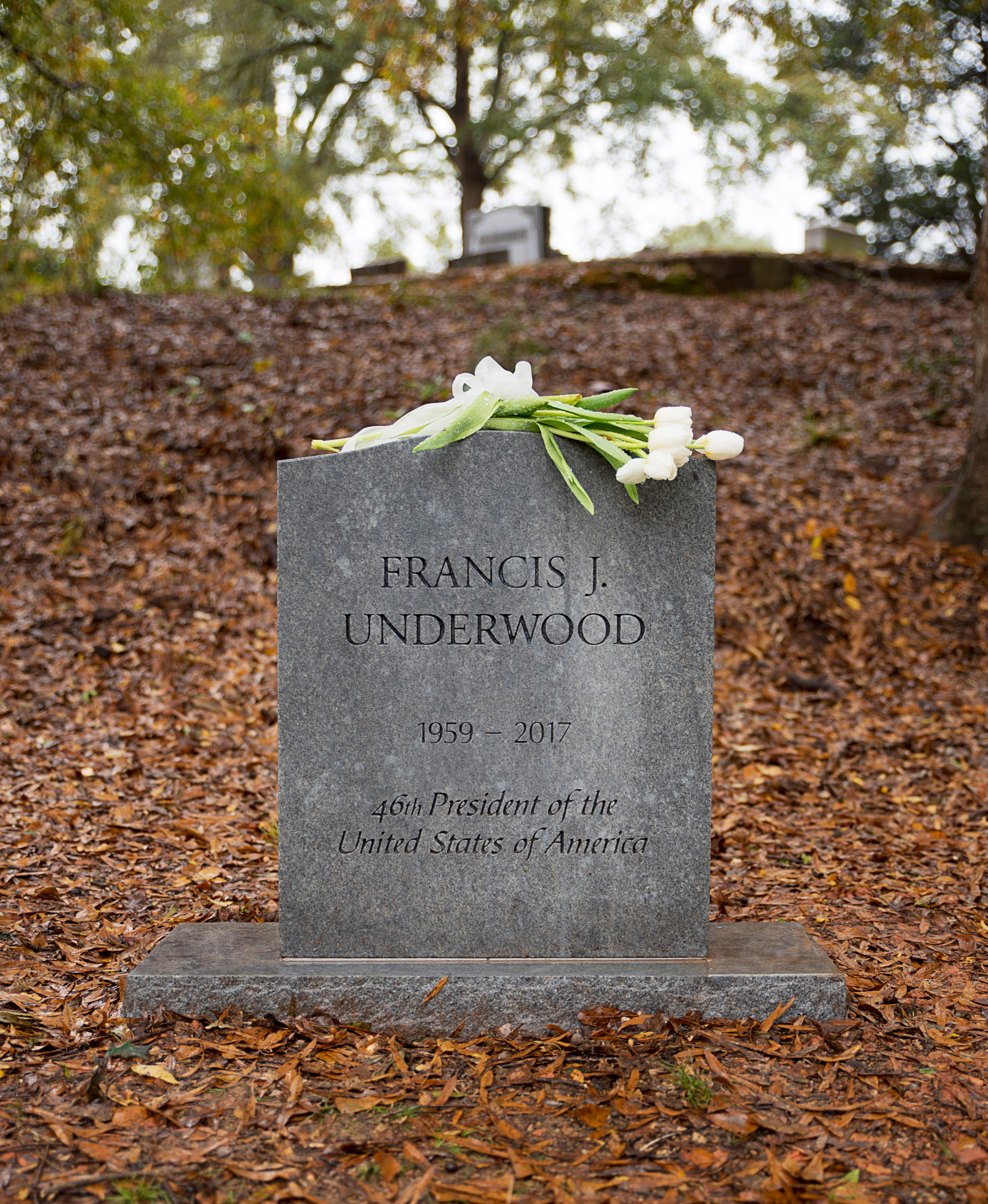 Final update Frank grave 1