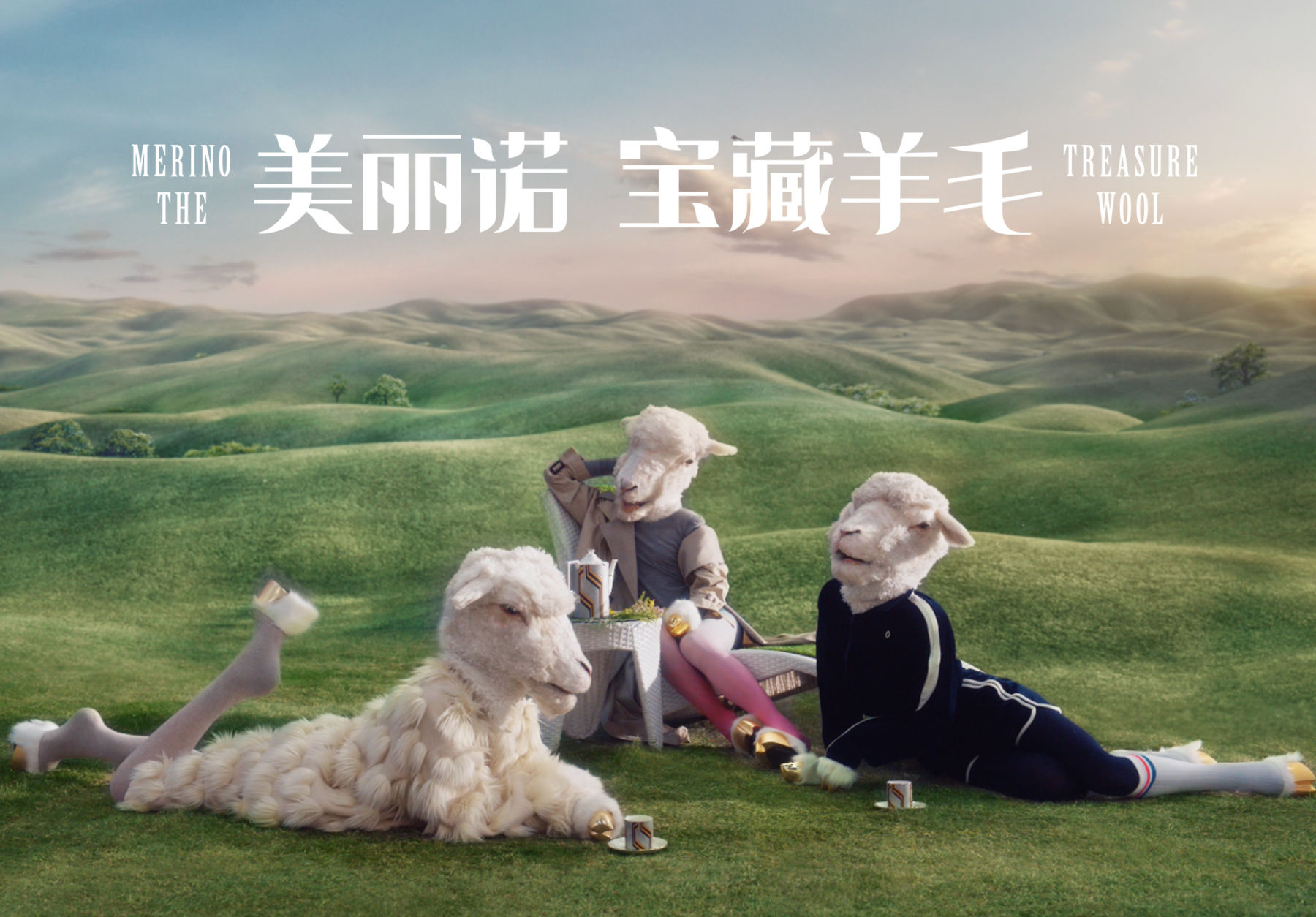 woolmark sheep 1