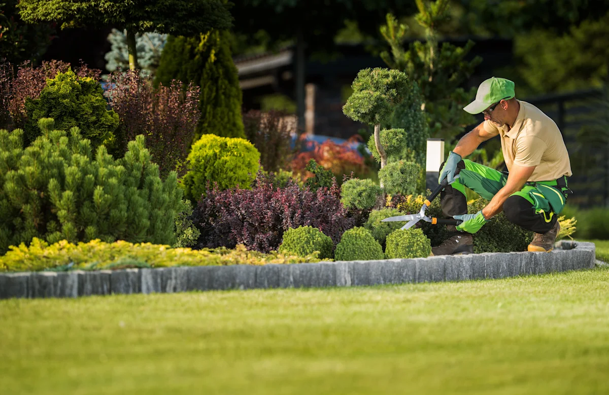 Difference between landscaper and gardener