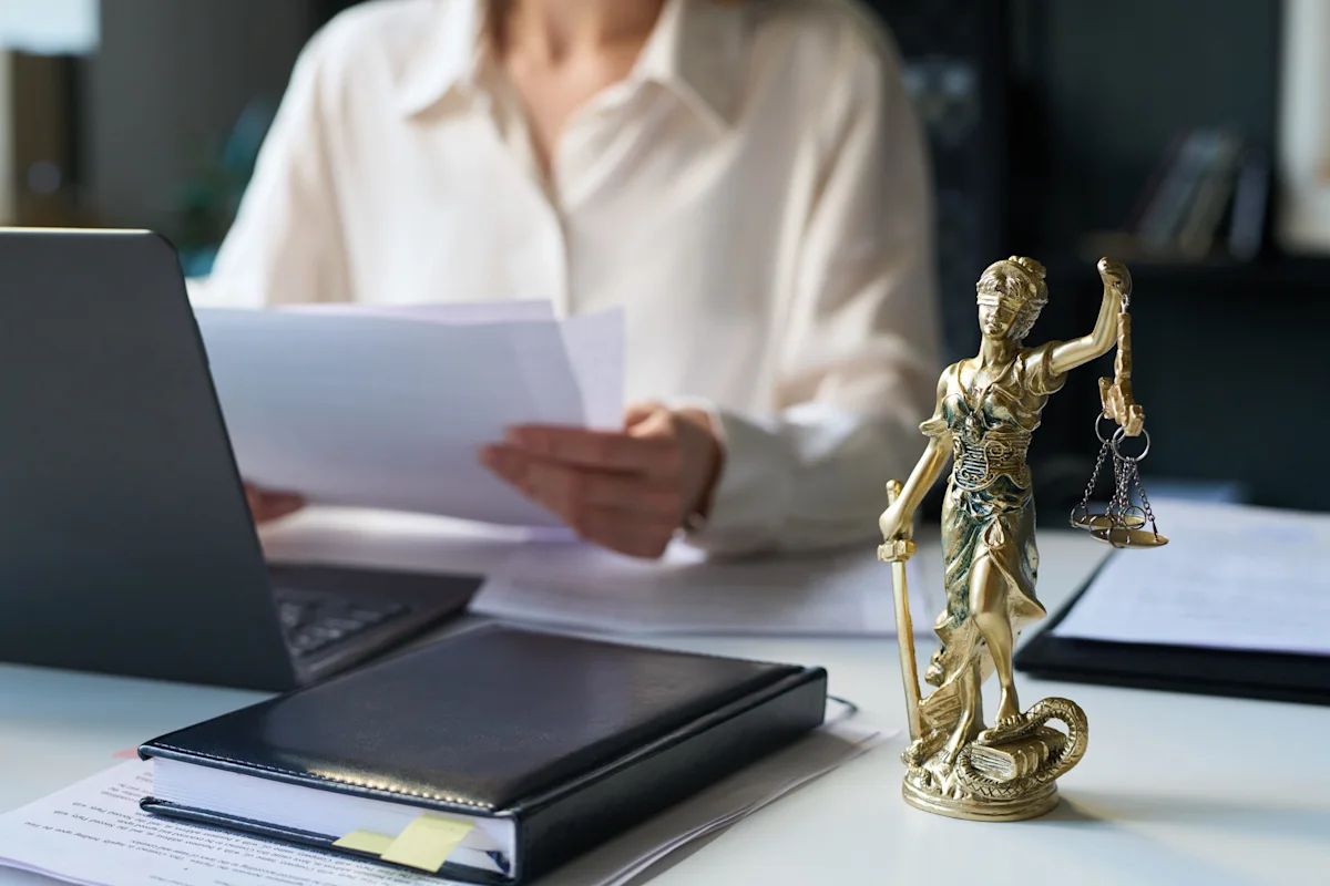 legal work