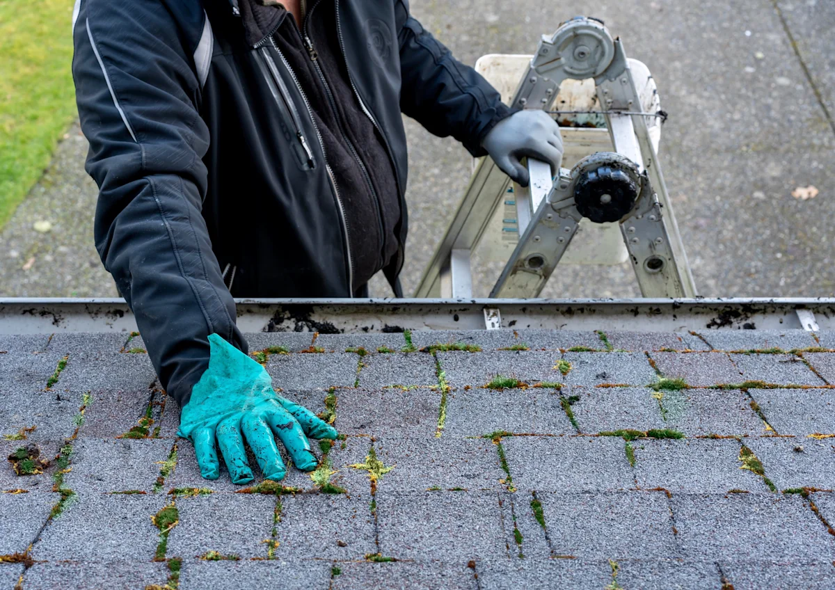 roof moss removal