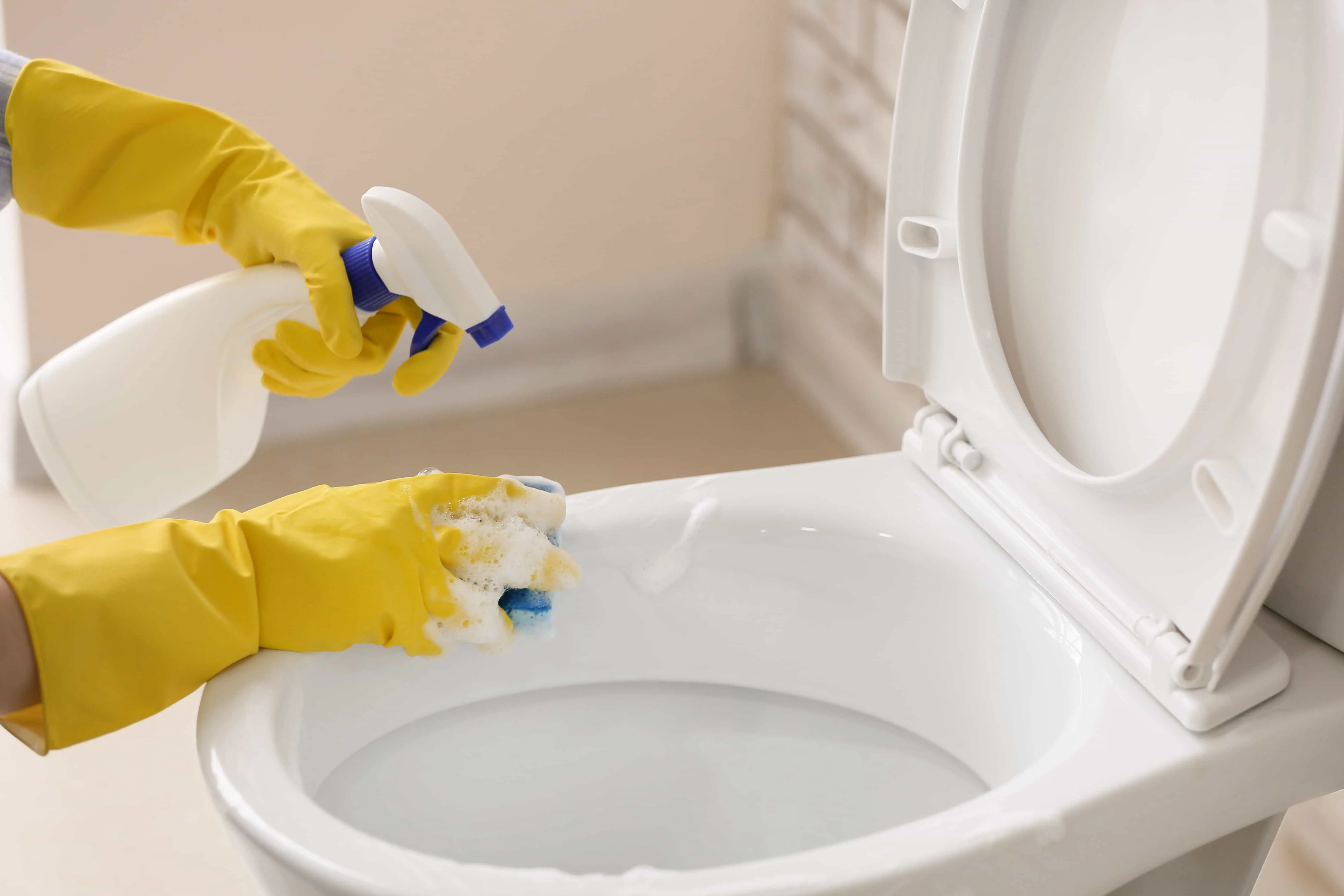 cleaning