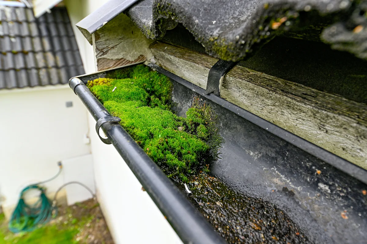 gutter cleaning