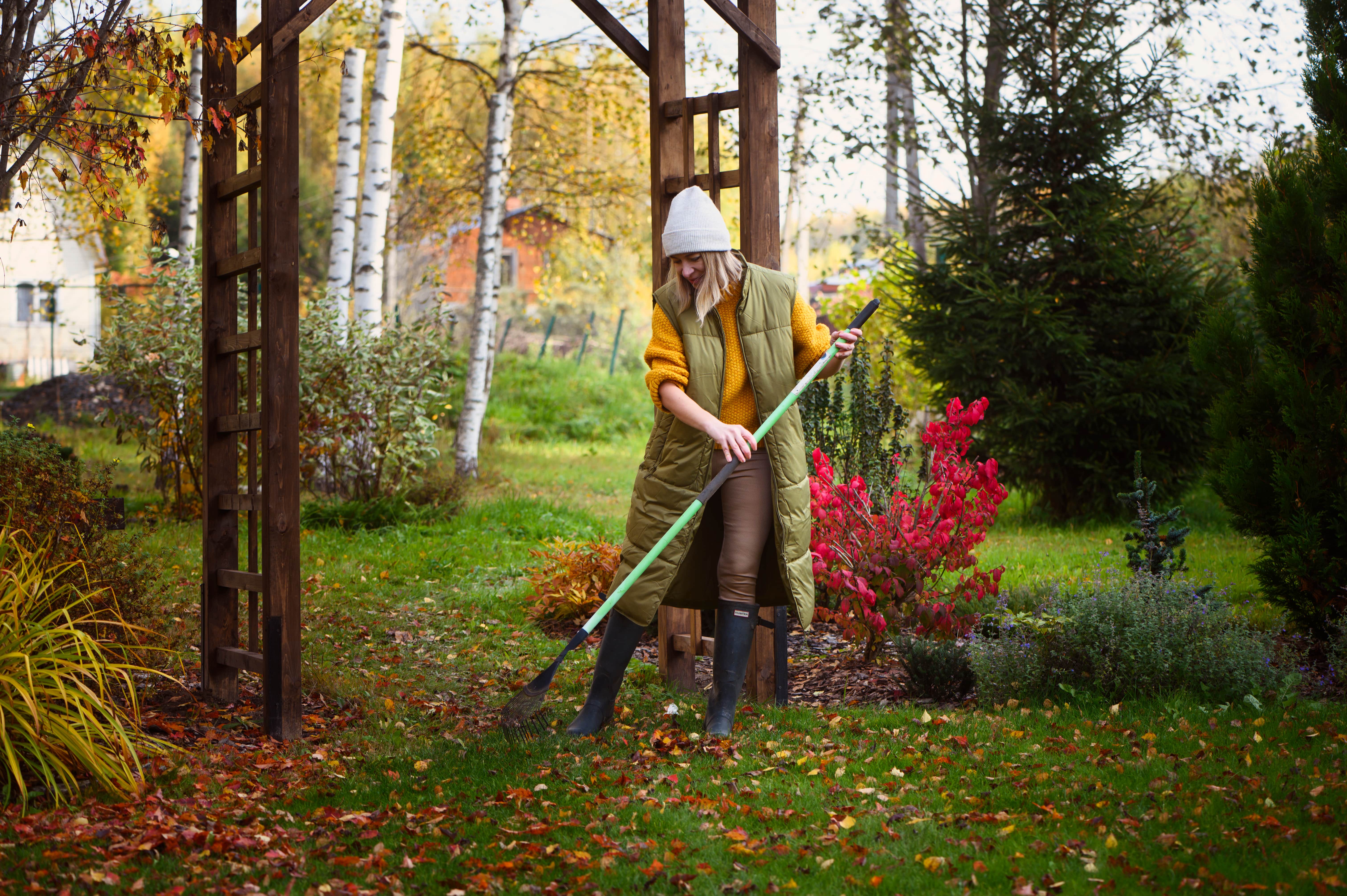 Woman raking leaves in garden