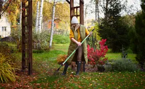 Woman raking leaves in garden