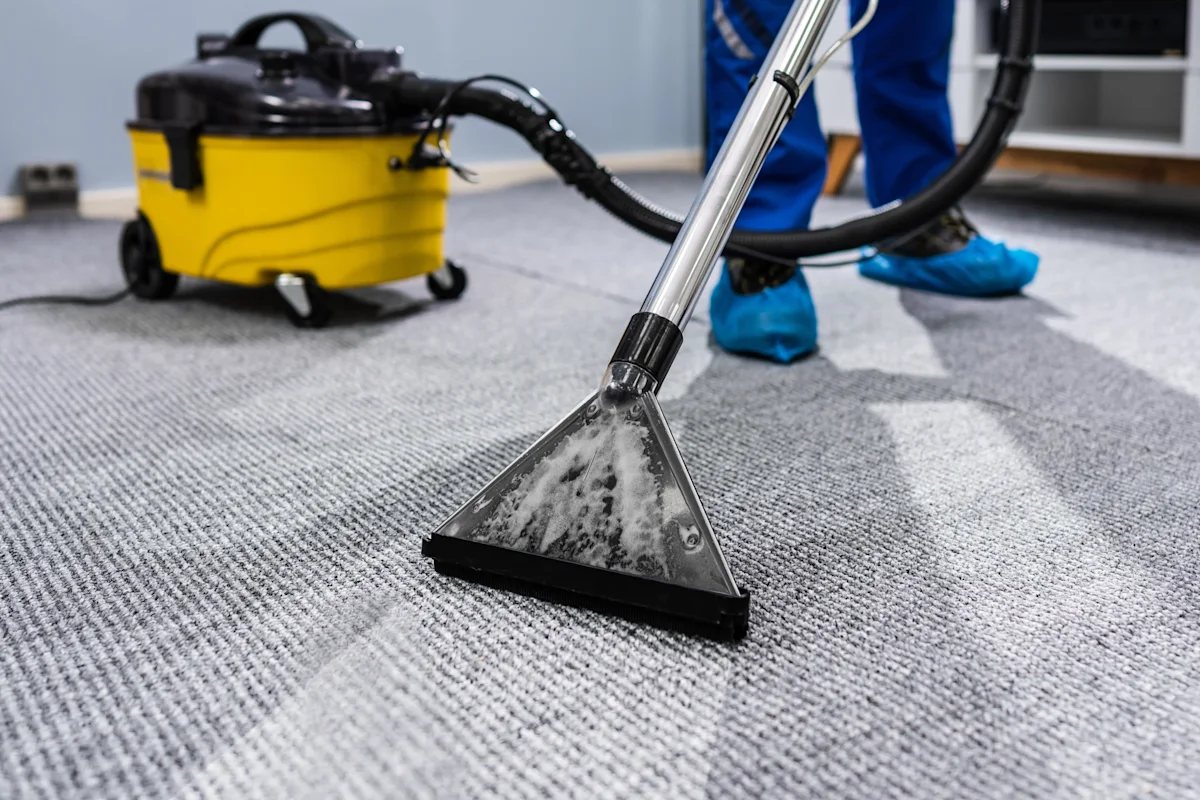Professional carpet cleaning close up