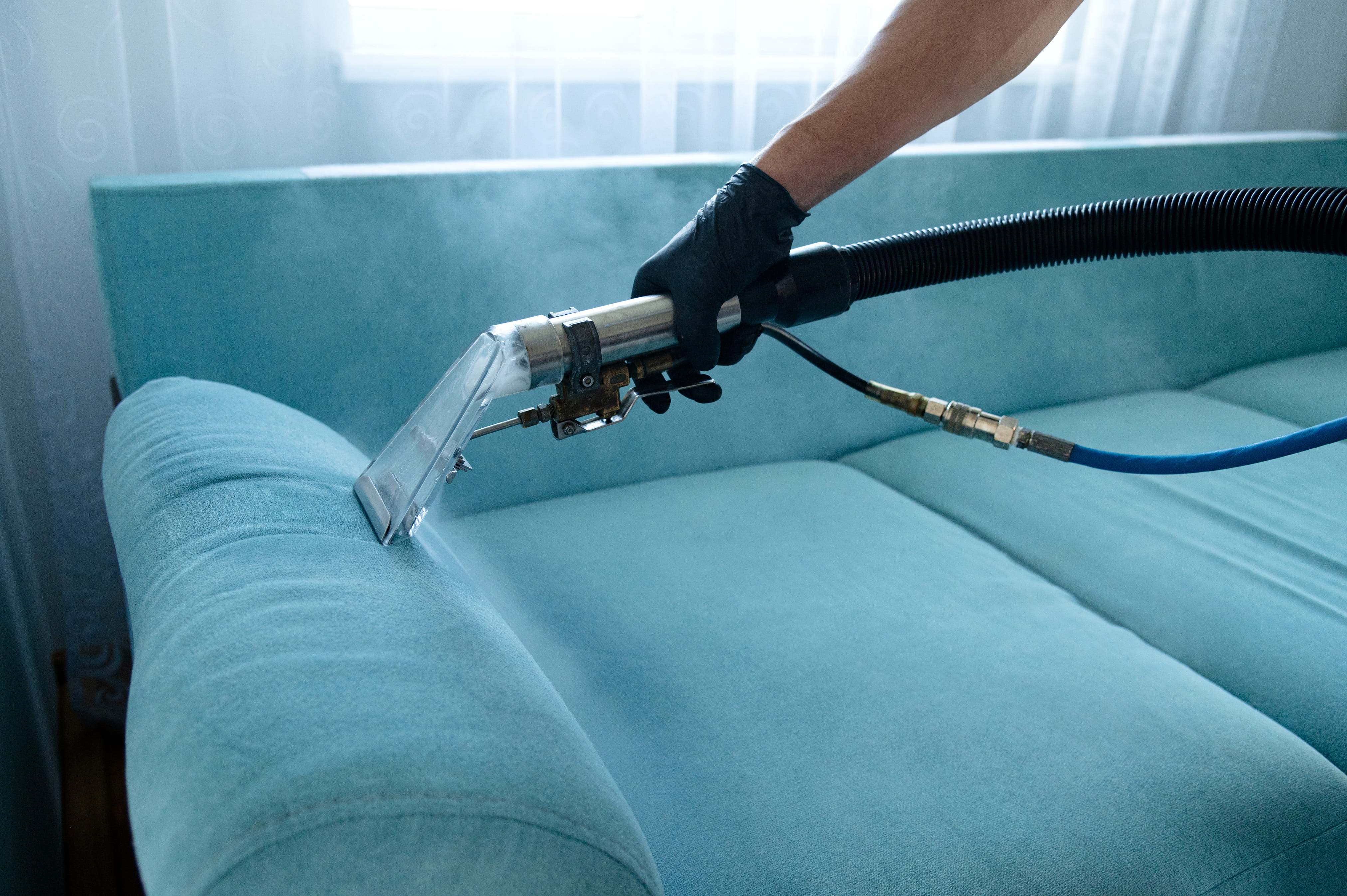 Close up of vacuum cleaning sofa