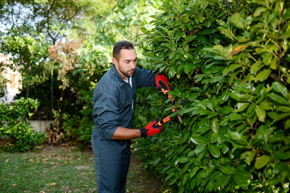 Difference between landscaper and gardener