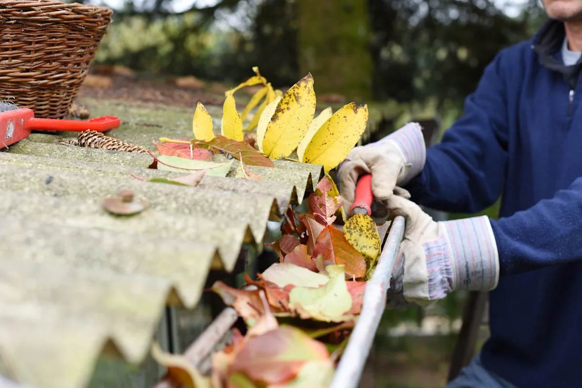 gutter cleaning
