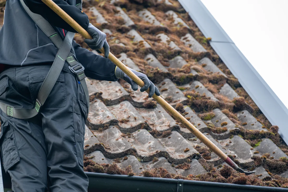 roof cleaning