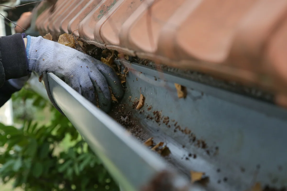 gutter cleaning