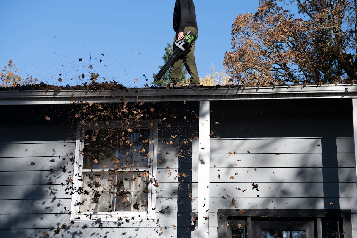 roof and gutter cleaning