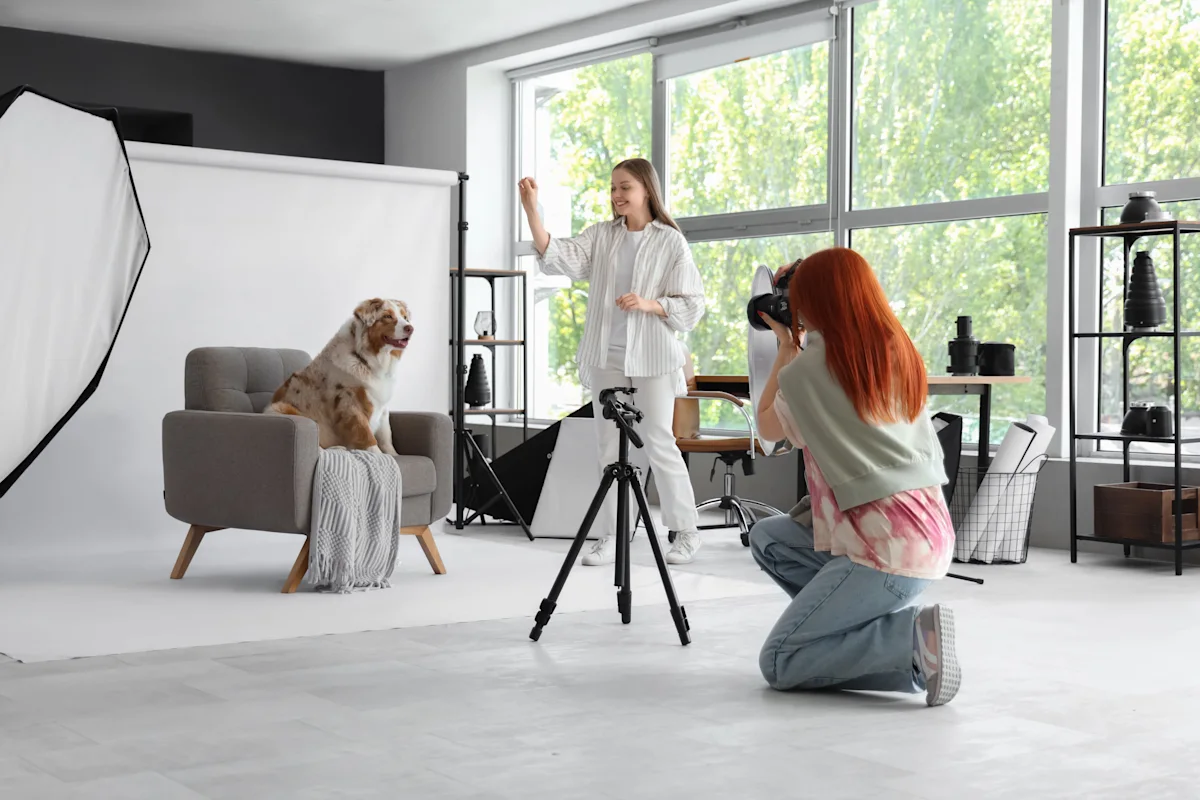 Pet photography