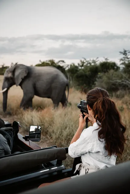 Lady taking a photo of an elephant