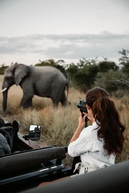 Lady taking a photo of an elephant