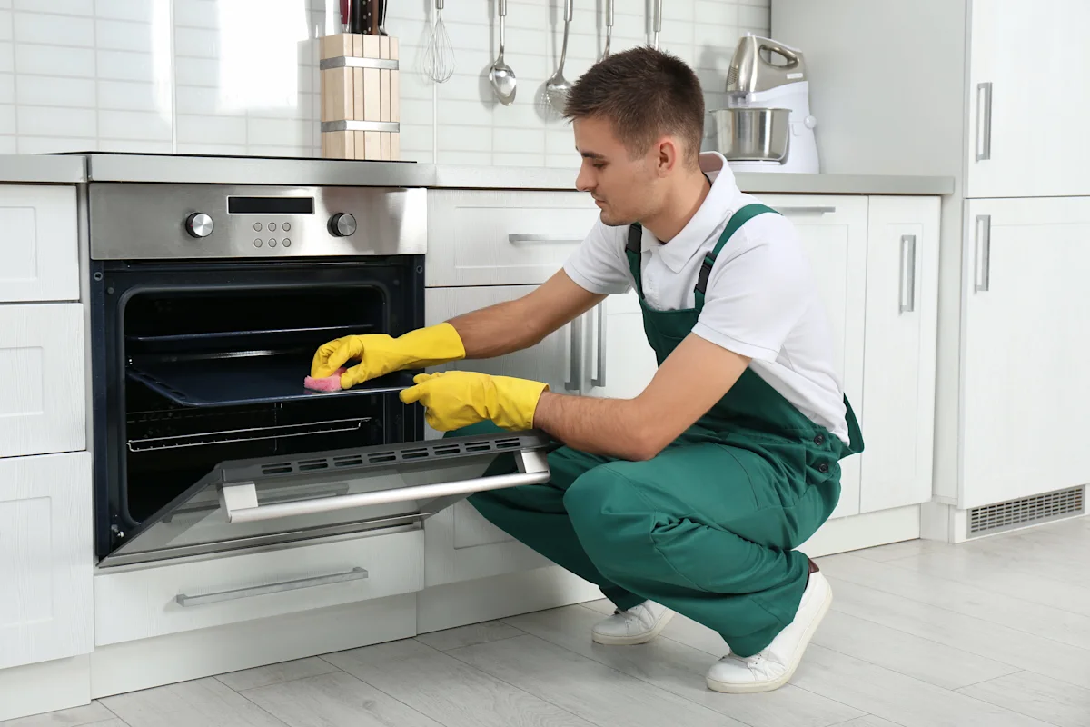 Professional cleaning oven