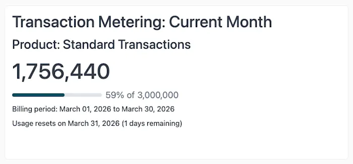 An example of the Transaction Metering report for a monthly contract.
