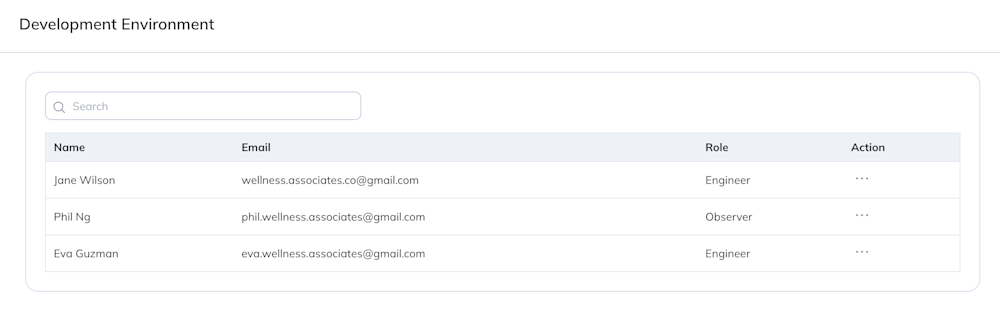 The table shows all users in the developer environment along with their assigned user role. 