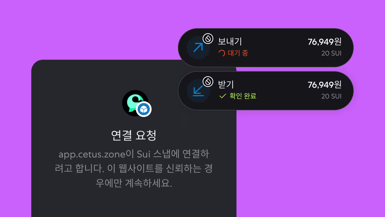 새로운 네트워크