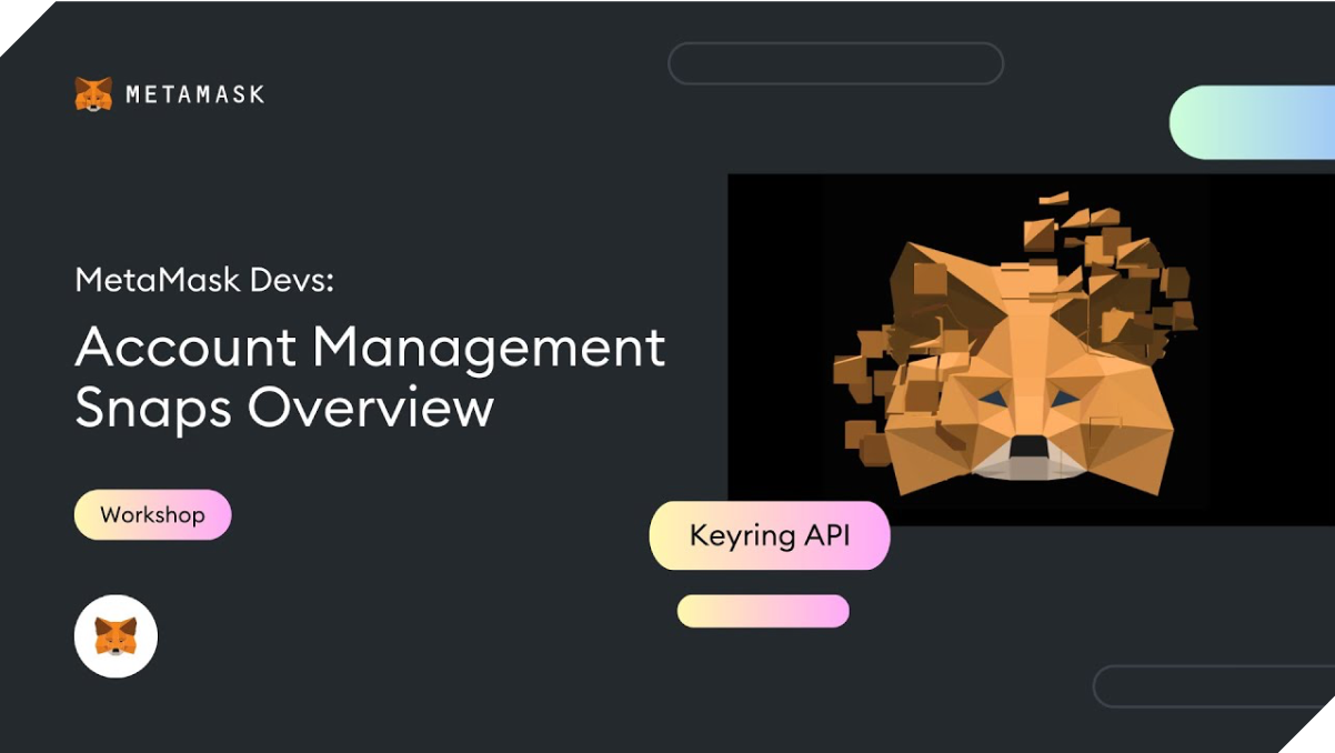 MetaMask 개발자 - Snap 개발로 MetaMask 확장 | MetaMask