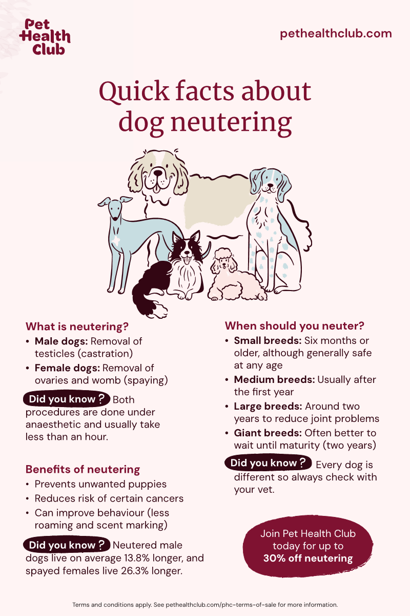 Benefits How Much Is It To Neuter A Male Dog Spay Incision Healing