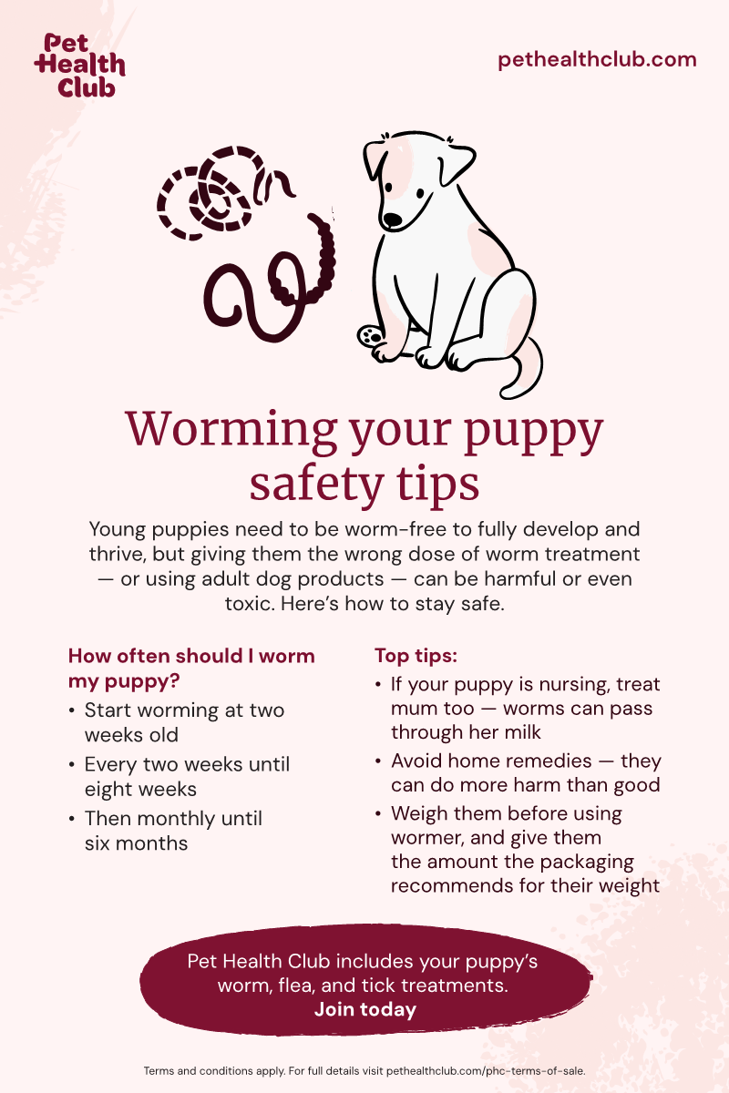 Worming puppies