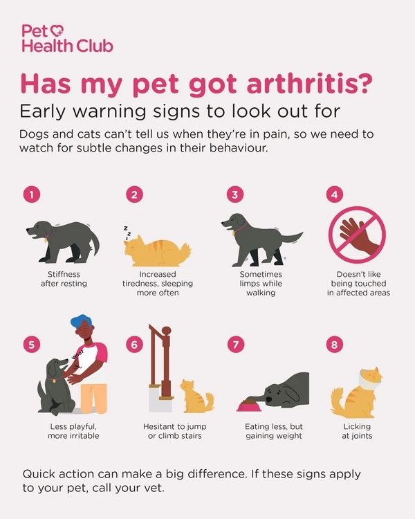 Signs of Arthritis in Dogs: How to Spot Early Symptoms