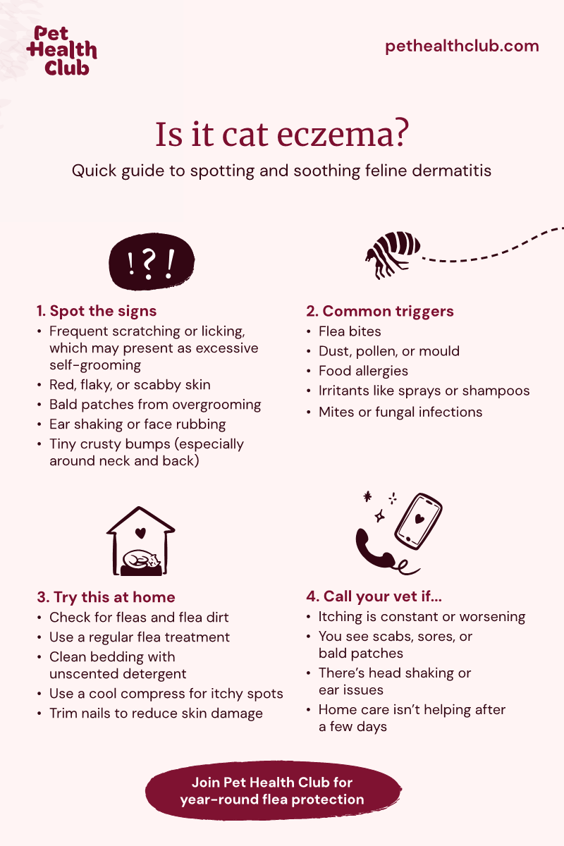 home remedies for scabs on cats