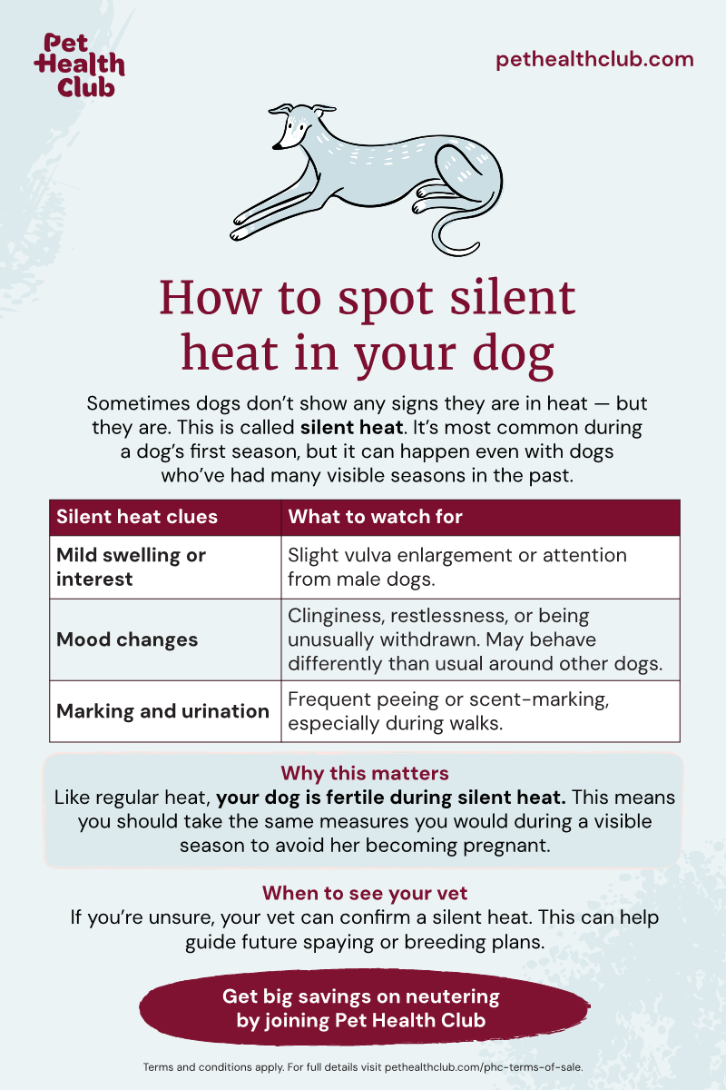 Does Spaying Change a Dog'S Behavior: Surprising Truths Revealed