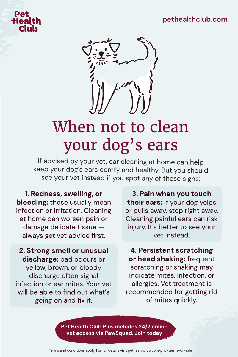 How to Set Up a Dog Safe Cleaning Routine Using Pet Friendly Products: Easy & Effective Tips
