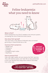 Leukemia Symptoms Cat