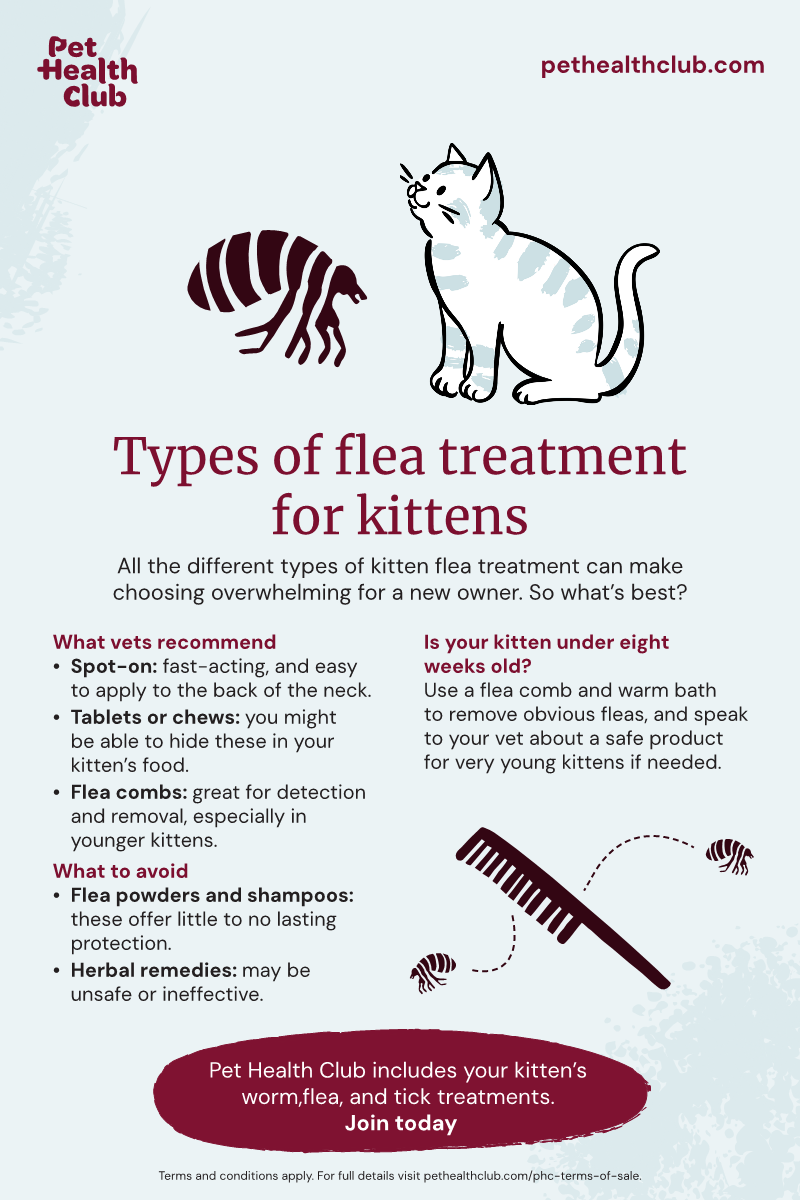 How Often Should I Comb My Cat for Fleas: Expert Tips
