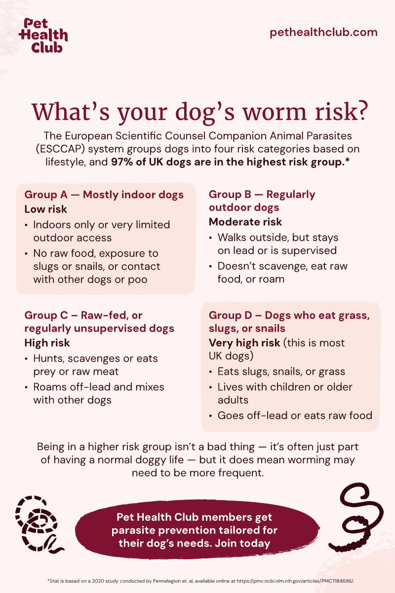 how much tobacco do i give my dog for worms How often should you worm a dog?