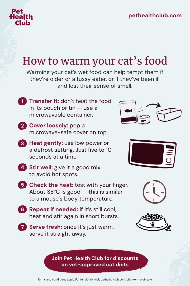 How to Get Cat to Eat New Food: Easy Tips for Picky Cats