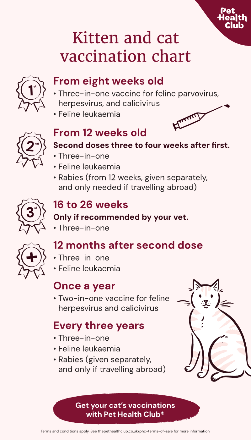 cat vaccination schedule travel requirements