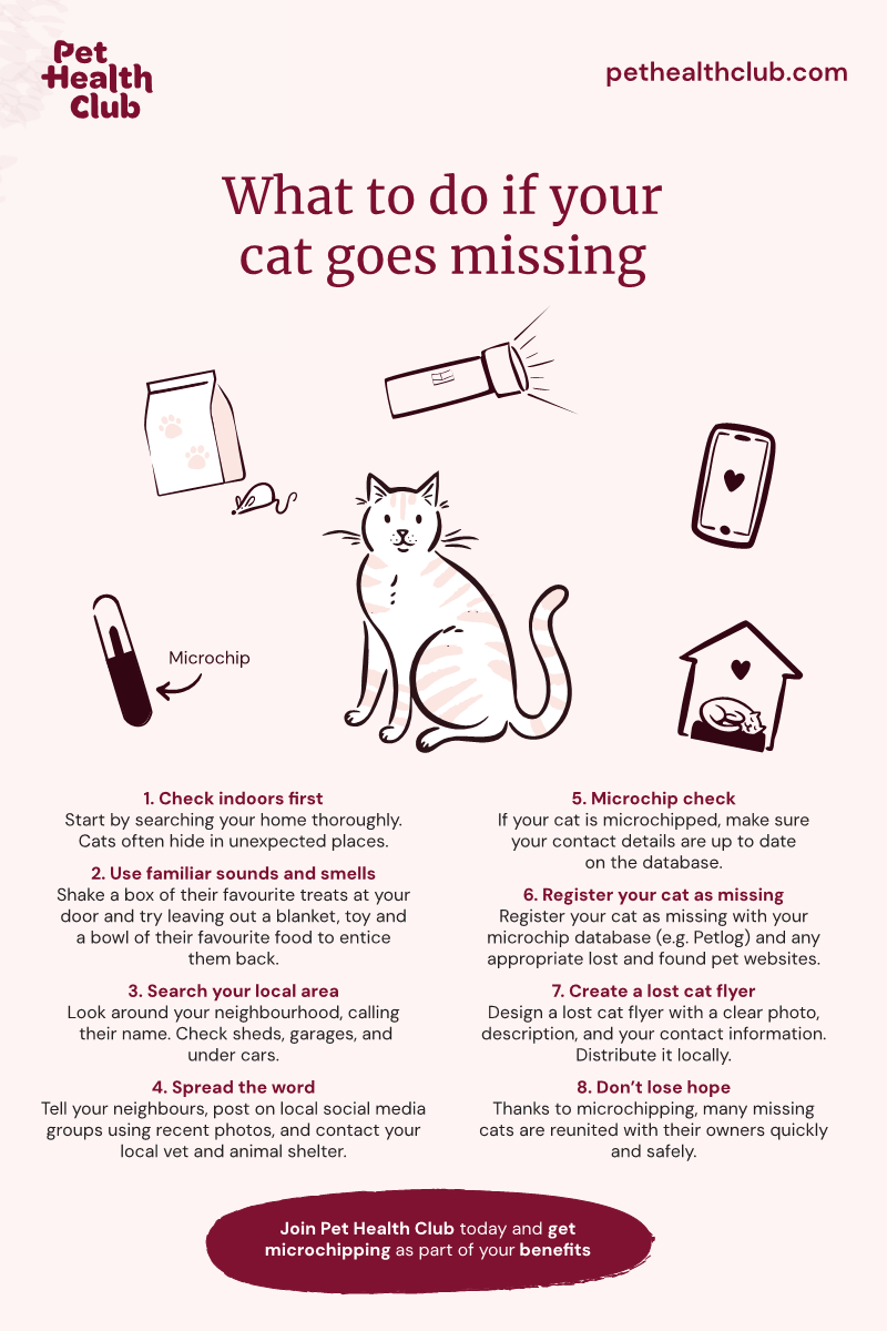 Your Cat Lost Cat Find Microchip Miraculous Moggy Loses Of Lives