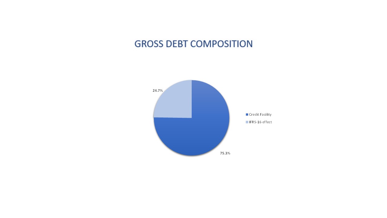 Grafico investors composizione eng