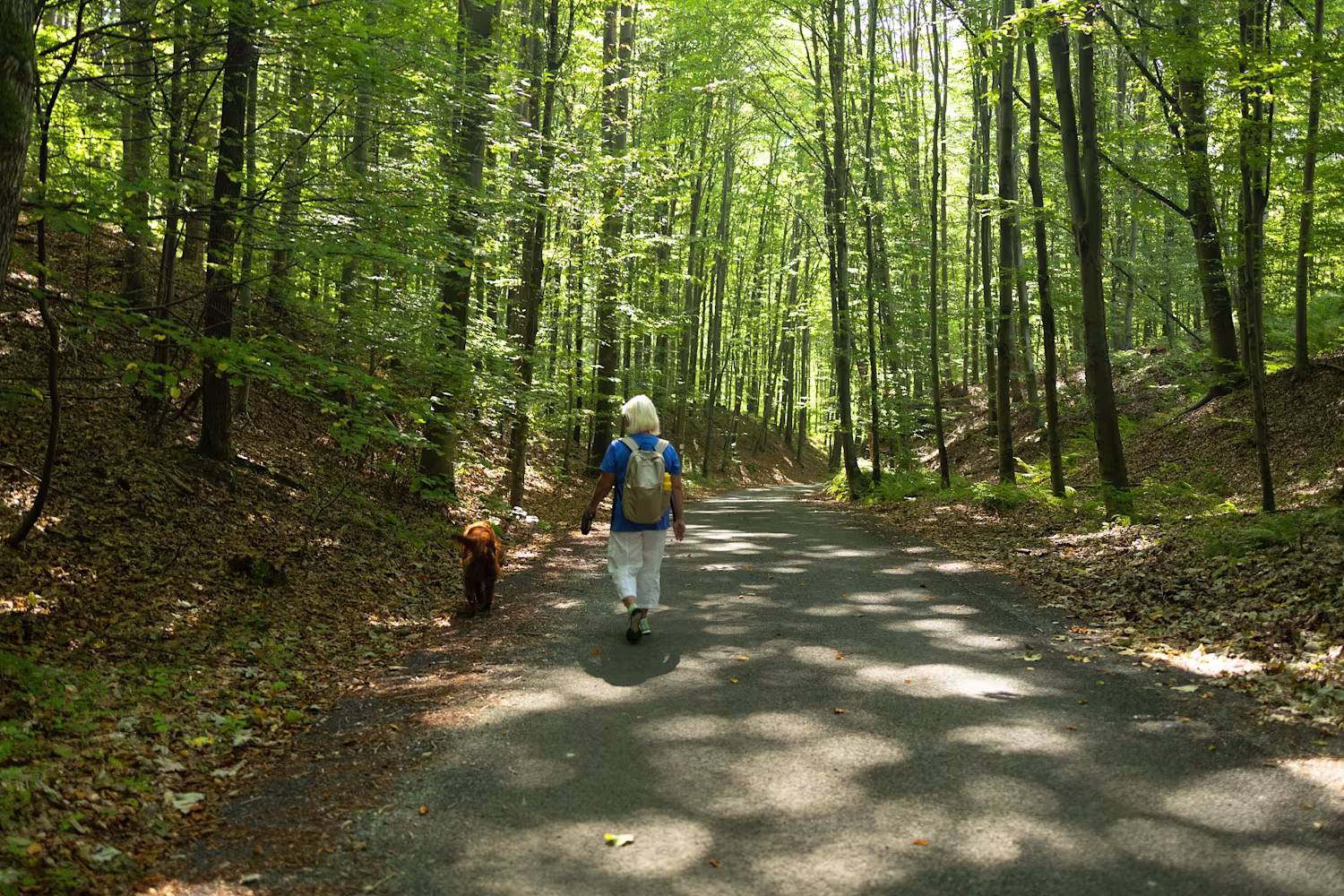 Il forest bathing cos’è e dove farlo.