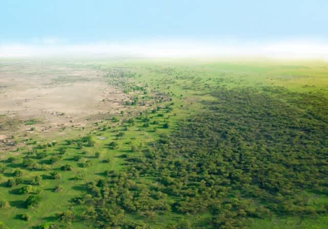 An overhead perspective of the ongoing Great Green Wall project, showing the border between the re-forested area and the desert.