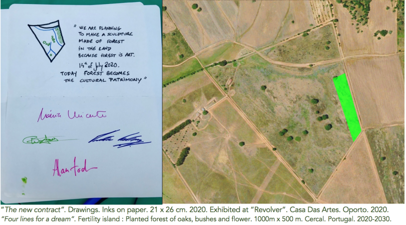  « Quatre lignes pour un rêve », méthode Miyawaki, 1000 x 500 m. Cercal. Le Portugal. 2020-2030.