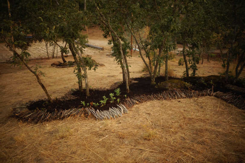 Installation : Compost urbain , branches, graines, pailles, arbres. Surface totale de l’installation :  300 x 150 m. 2016. Portugal.
Festival Andanças. Portugal.