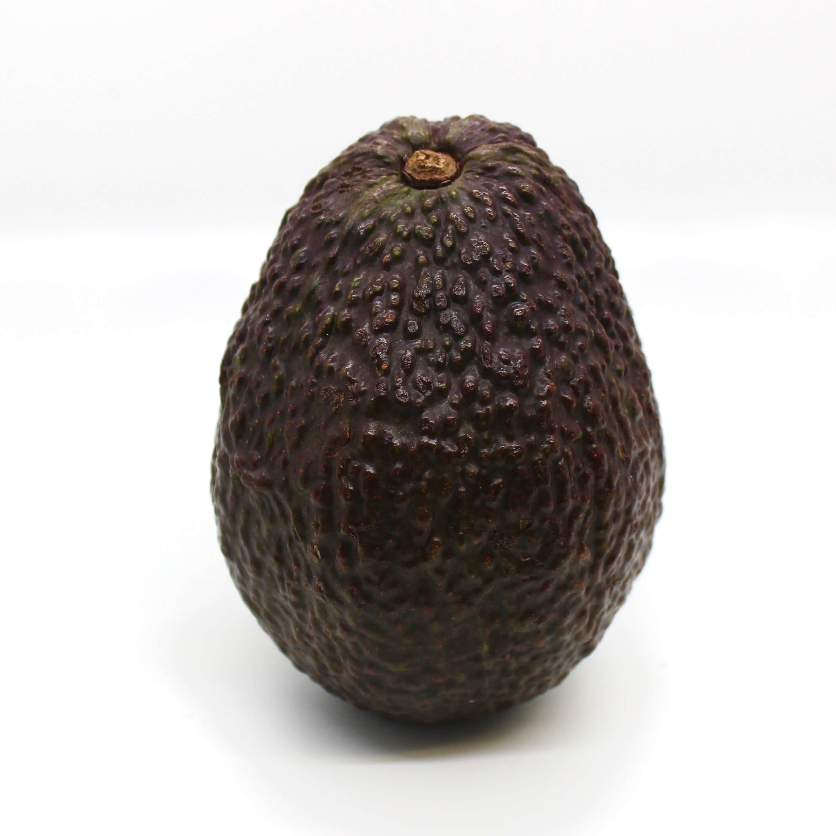Avocado with white background