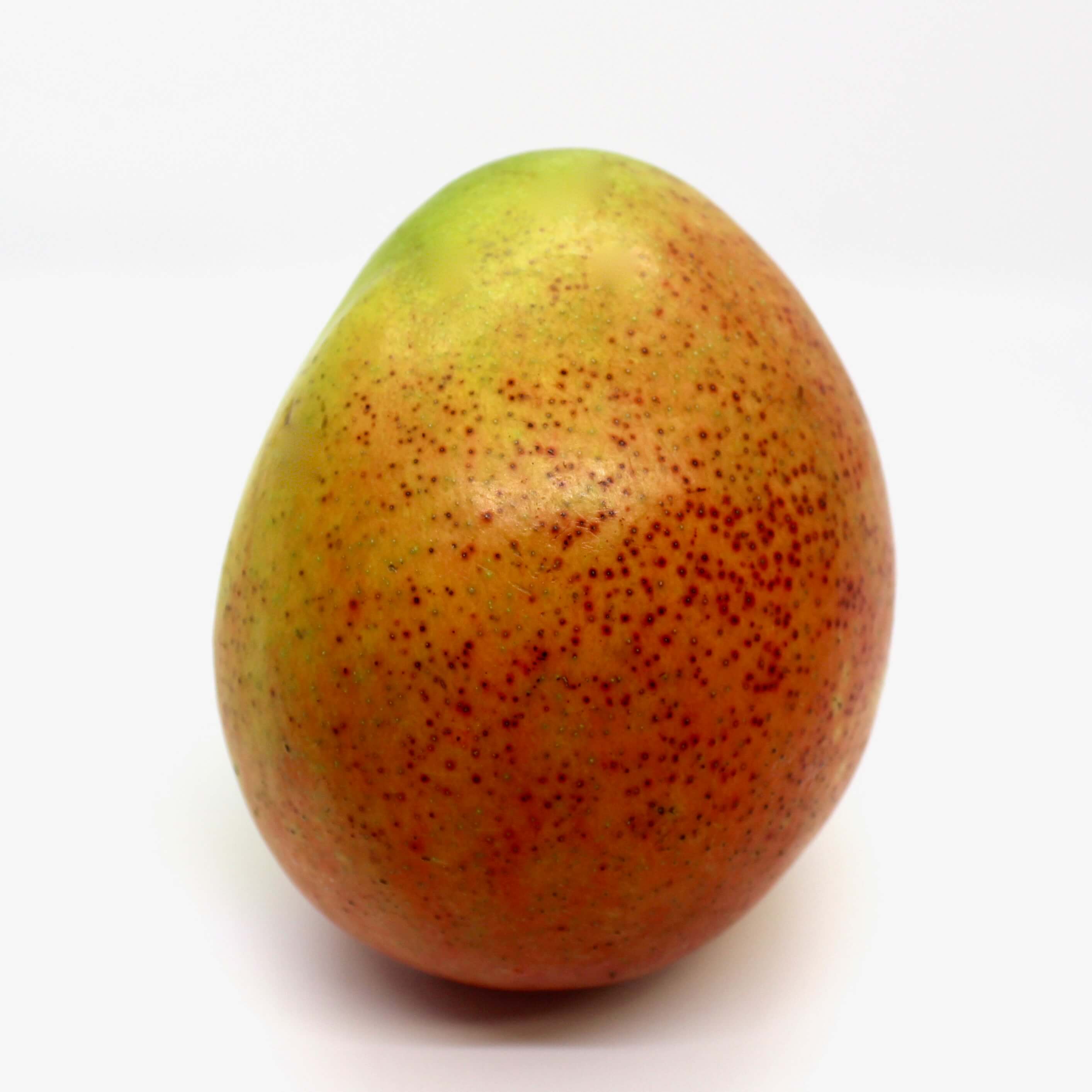 Mango with a white background
