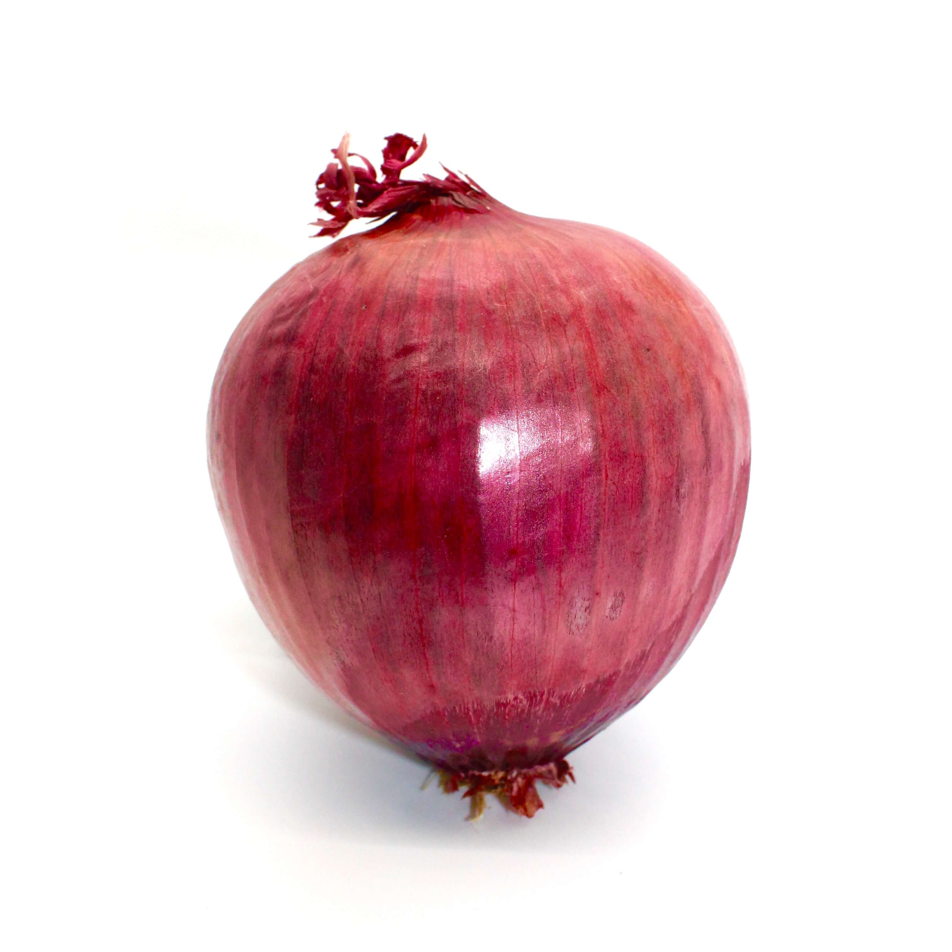 Red Onion with a white background