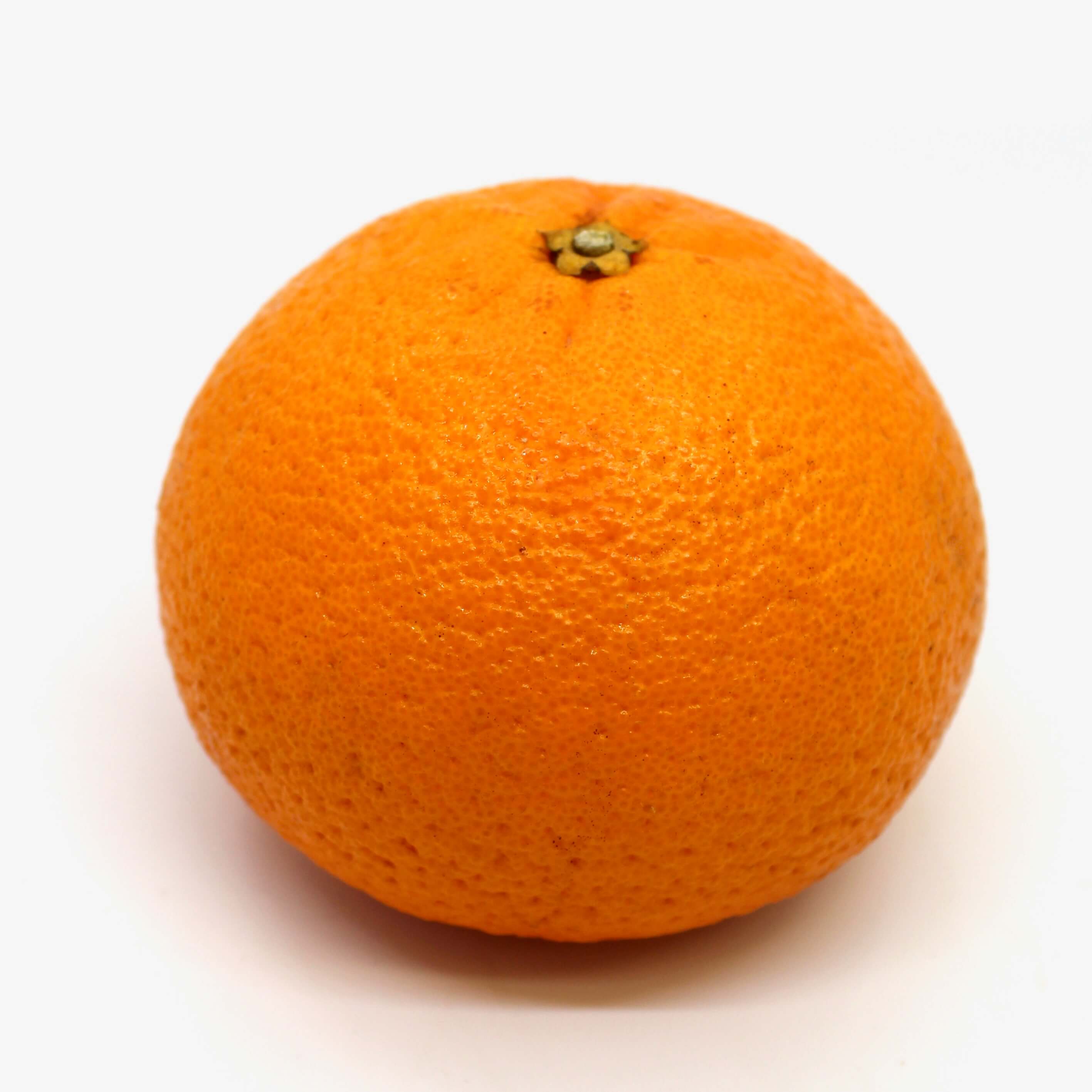 Orange with white background