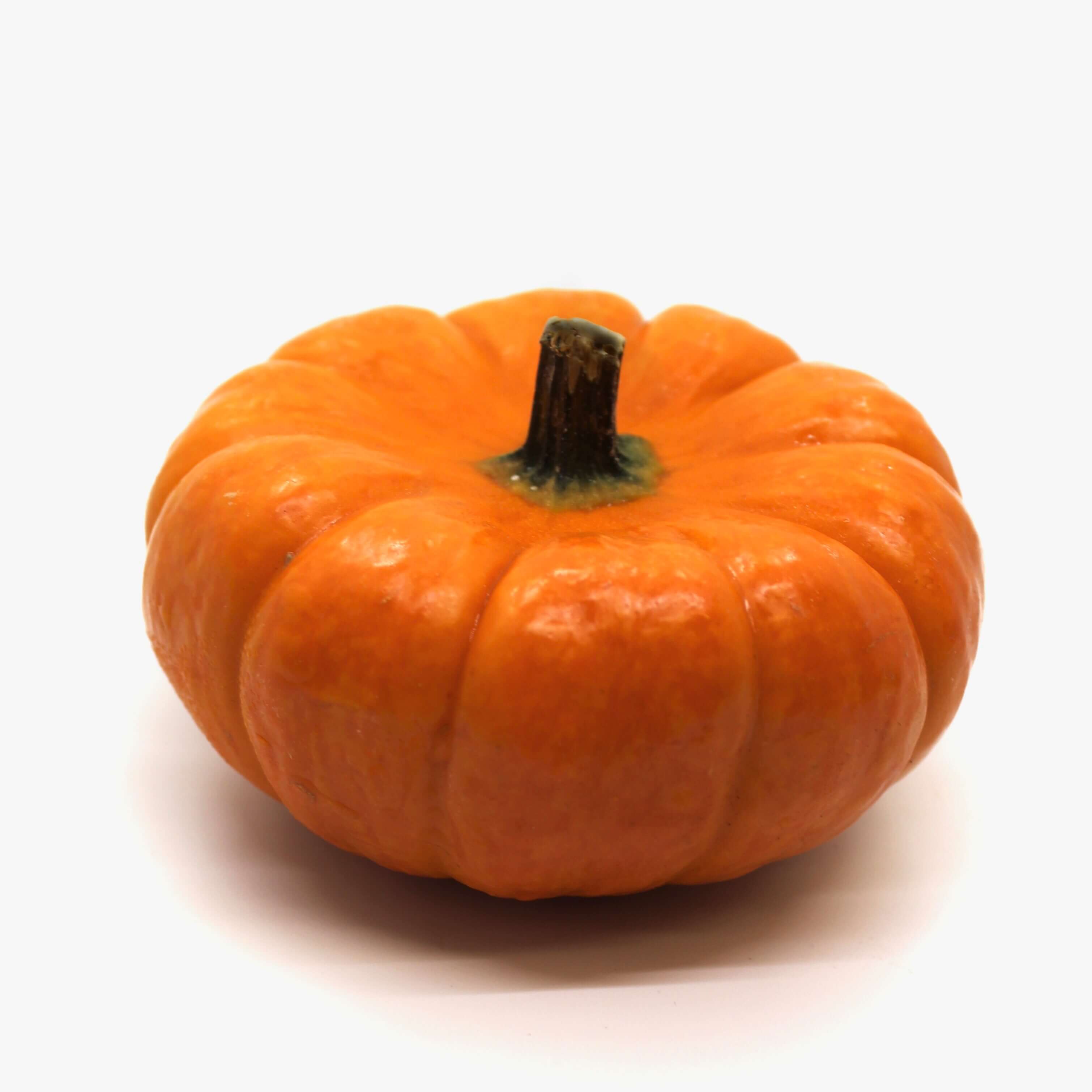Small pumpkin with while background