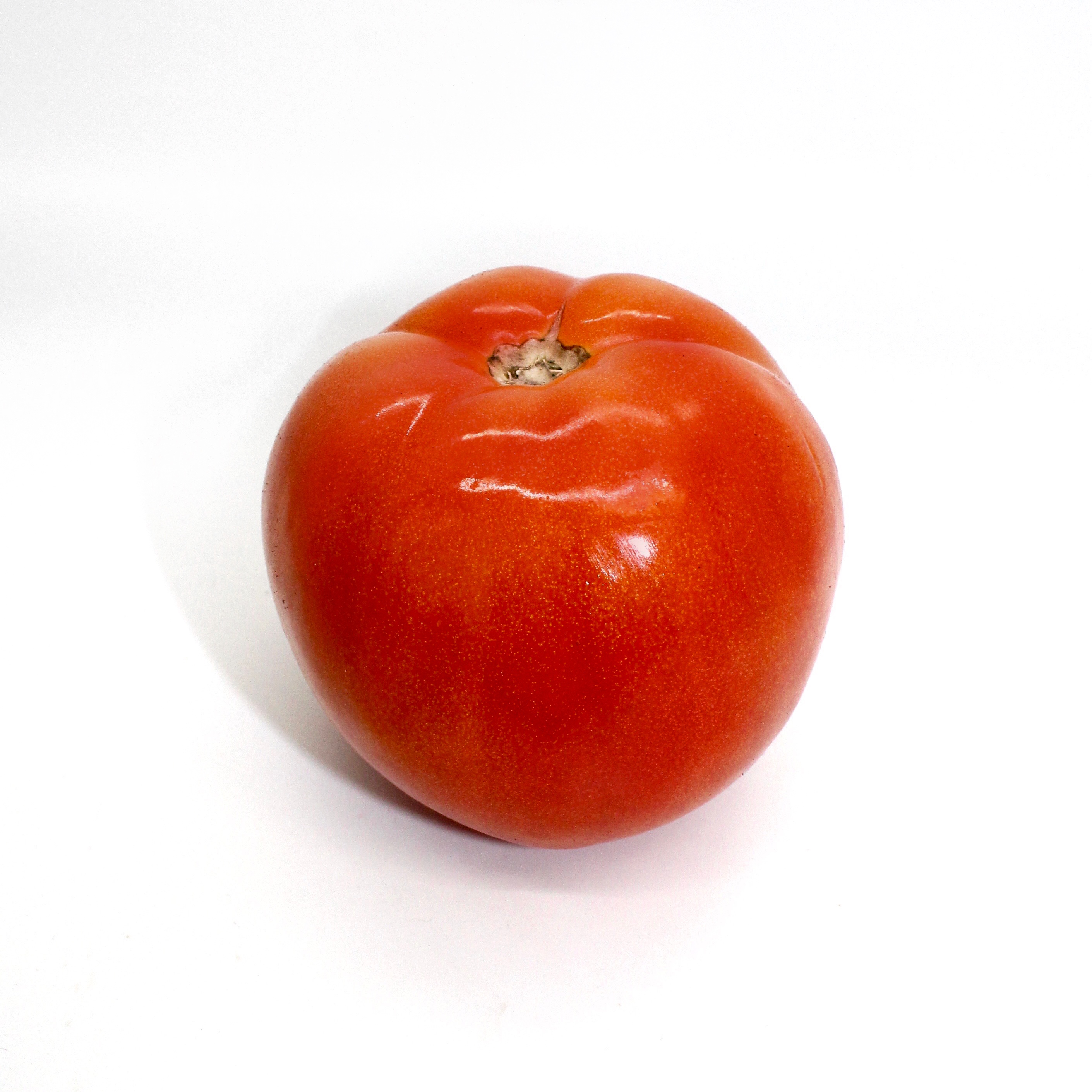 5x6 Tomato on a white background